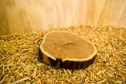 COLECCION DE TABLAS DE MADERA